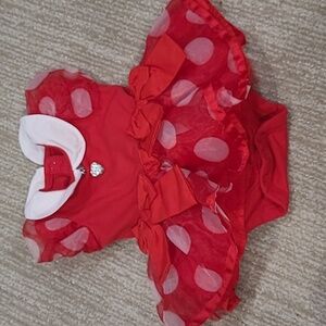Disney Minnie Mouse Outfit